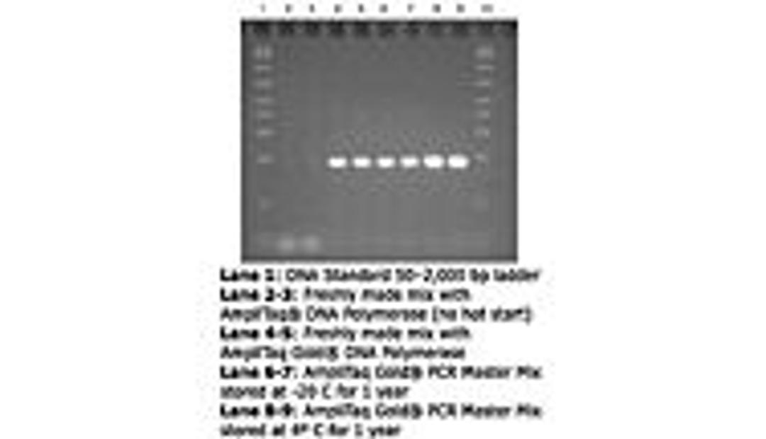 AmpliTaq Gold®  PCR Master Mix - Thermo Fisher Scientific - Life Sciences