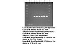 AmpliTaq Gold® PCR Master Mix - Thermo Fisher Scientific - Life Sciences