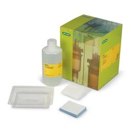 Trans-Blot® Turbo™ RTA Mini LF PVDF Transfer Kit, for 40 blots - Bio-Rad - Life Sciences