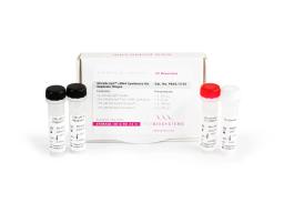 UltraScript® cDNA Synthesis Kit Separate Oligos - PCR Biosystems - Life Sciences