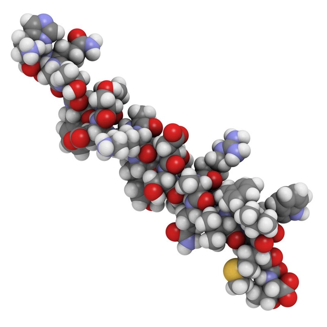 Bioanalysis of peptides service - Resolian - Separations