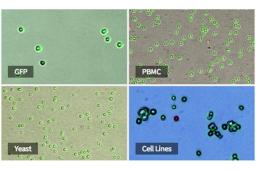 From PBMCs to bacteria