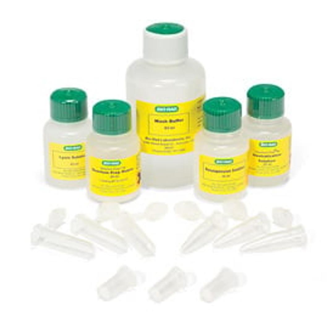 Quantum Prep® Plasmid Miniprep Kit - Bio-Rad - Life Sciences