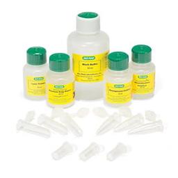 Quantum Prep® Plasmid Miniprep Kit - Bio-Rad - Life Sciences