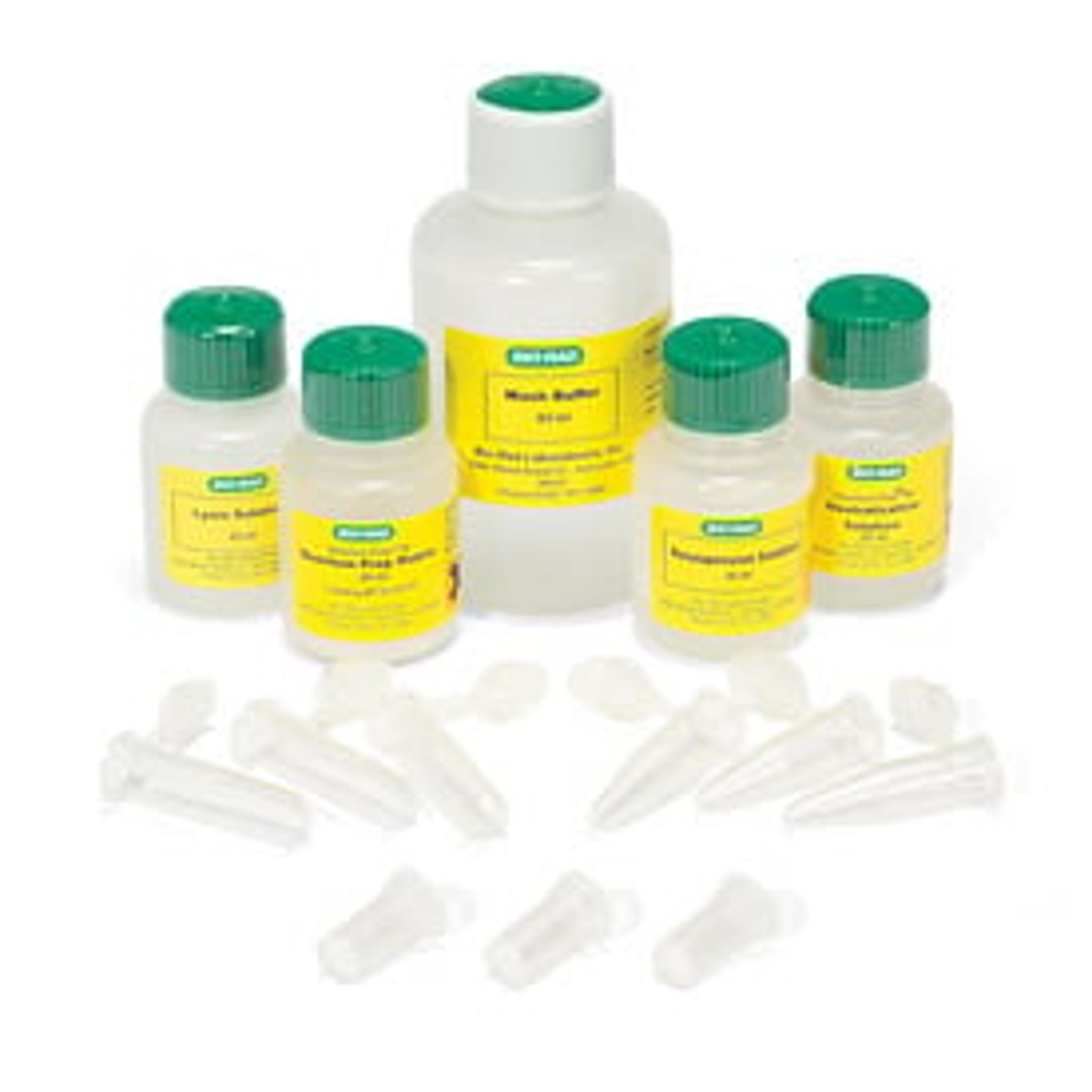 Quantum Prep® Plasmid Miniprep Kit - Bio-Rad - Life Sciences