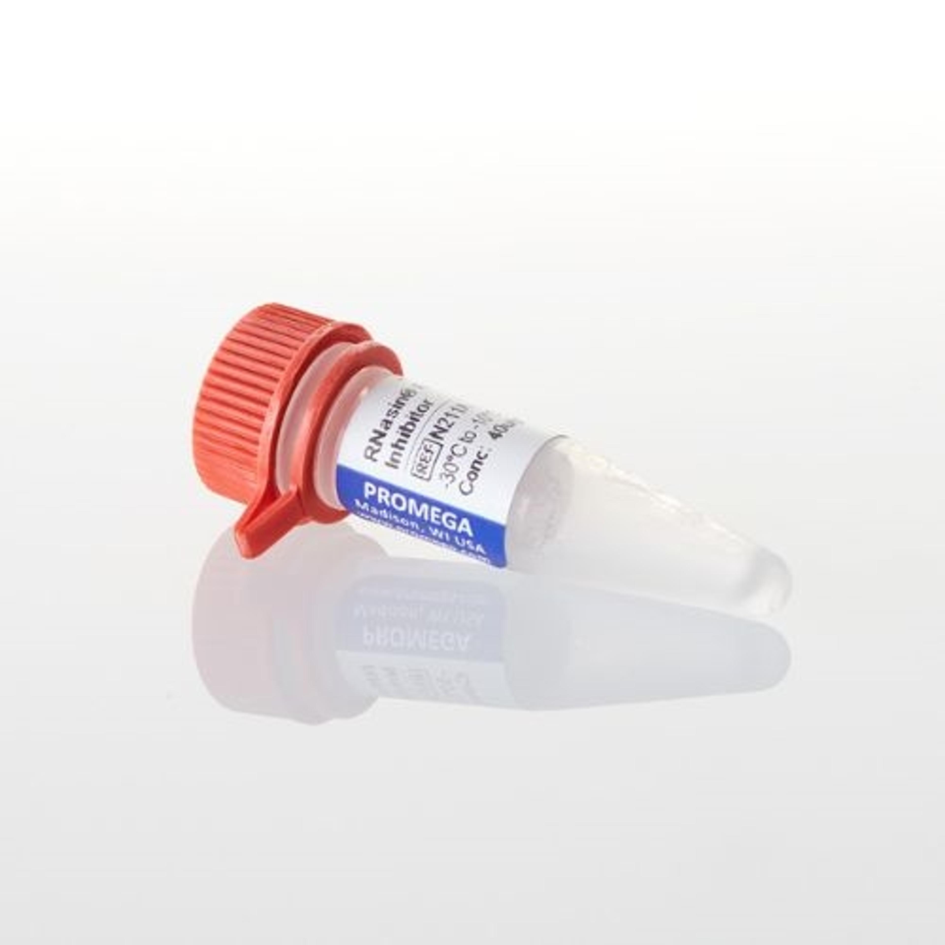 Recombinant RNasin® Ribonuclease Inhibitor - Promega Corp. - Life Sciences
