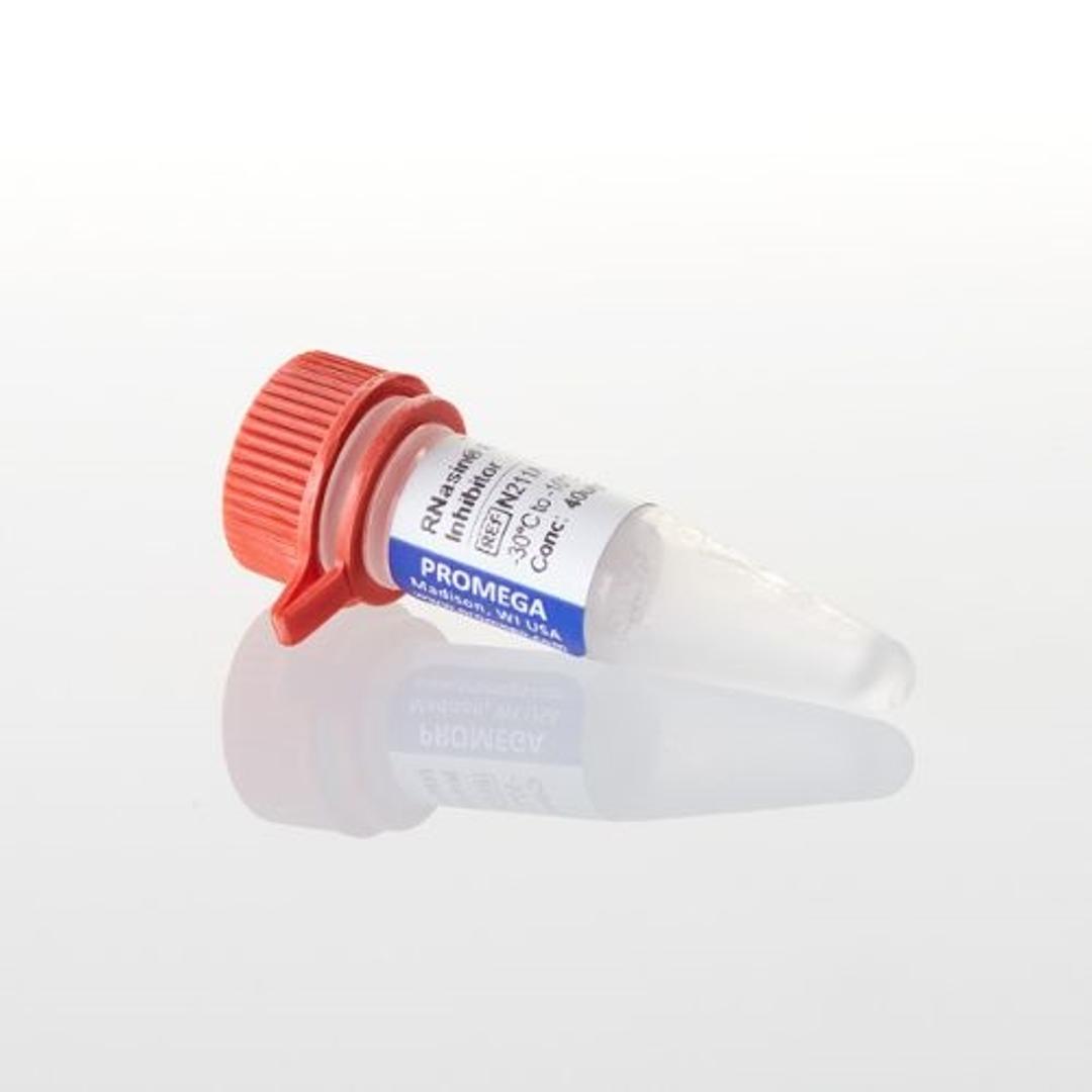 Recombinant RNasin® Ribonuclease Inhibitor - Promega Corp. - Life Sciences