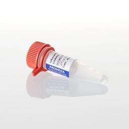 Recombinant RNasin® Ribonuclease Inhibitor - Promega Corp. - Life Sciences