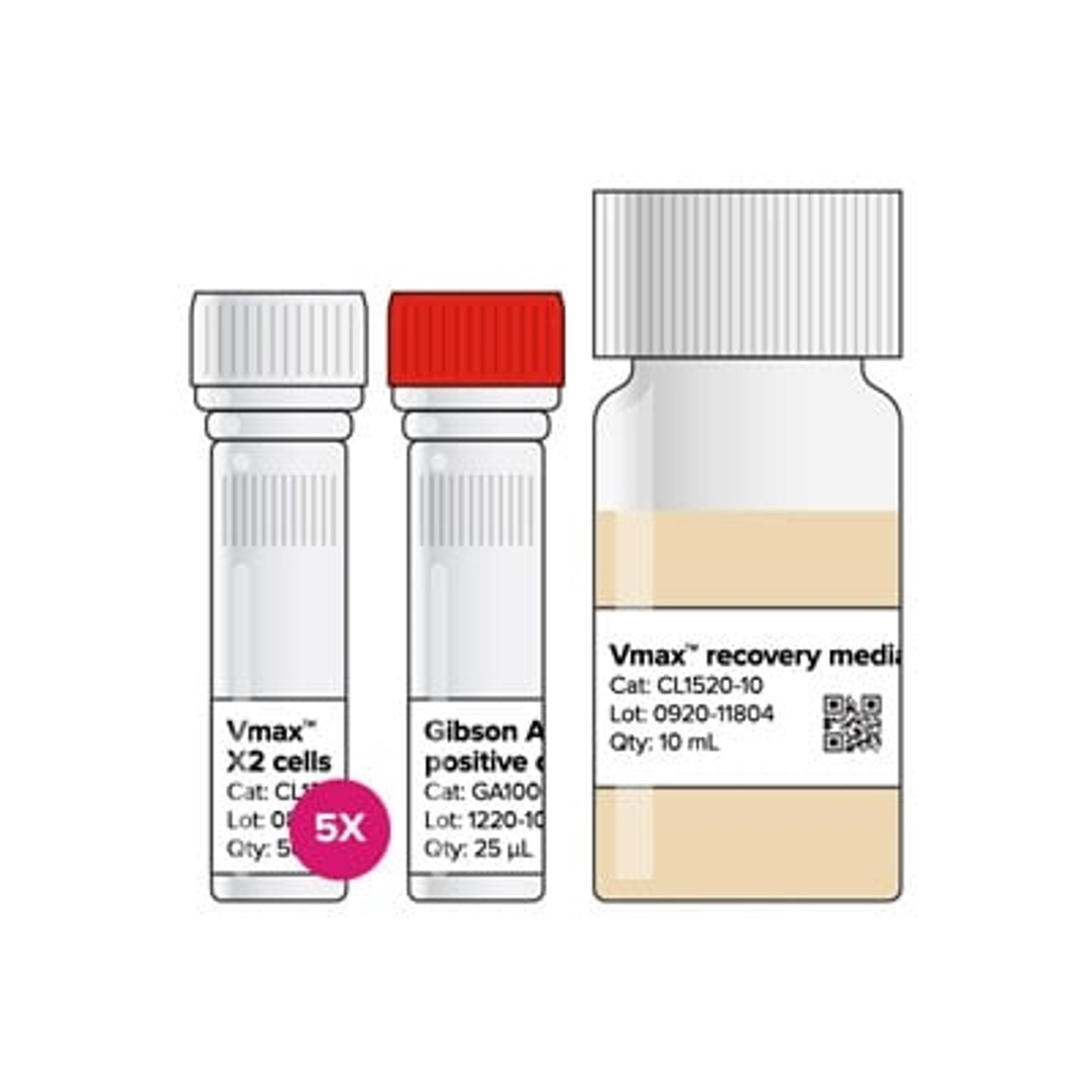 Vmax X2 chemically competent cells - Codex DNA - Life Sciences