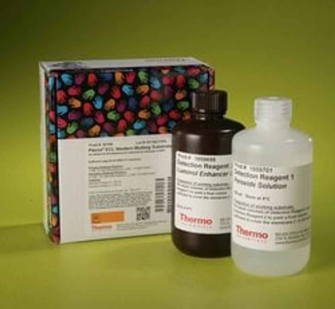 Thermo Scientific™ Pierce™ ECL Western Blotting Substrate - Thermo Fisher Scientific - Life Sciences