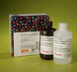 Thermo Scientific™ Pierce™ ECL Western Blotting Substrate - Thermo Fisher Scientific - Life Sciences