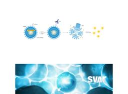 iLite® CDC Bioassays - Svar Life Science AB - Life Sciences