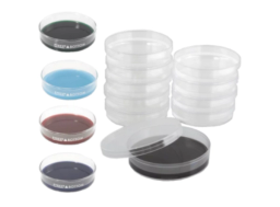 Dissection Dishes - Scintica - Life Sciences