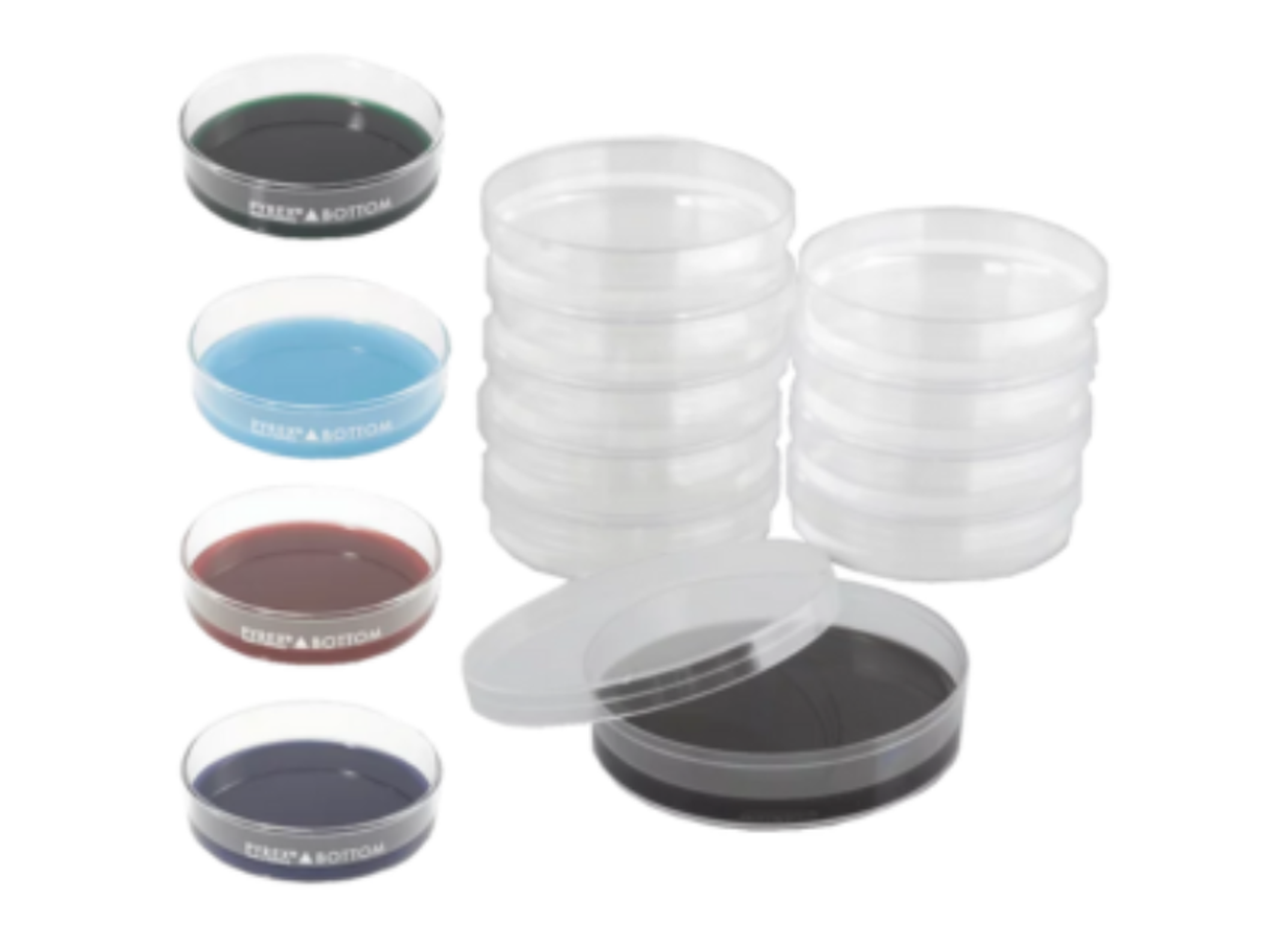 Dissection Dishes - Scintica - Life Sciences