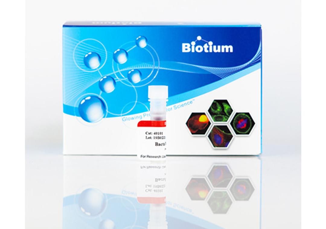BactoView™ Viability Kits - Biotium - Life Sciences