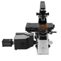 Nikon Microscope with Crest X-Light V2 Spinning Disk Confocal - Nikon Healthcare Business – Microscope Solutions - Life Sciences