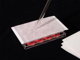 AeraSeal™ Microplate Sealing Film for Cell & Tissue Culture - Excel Scientific, Inc. - Life Sciences