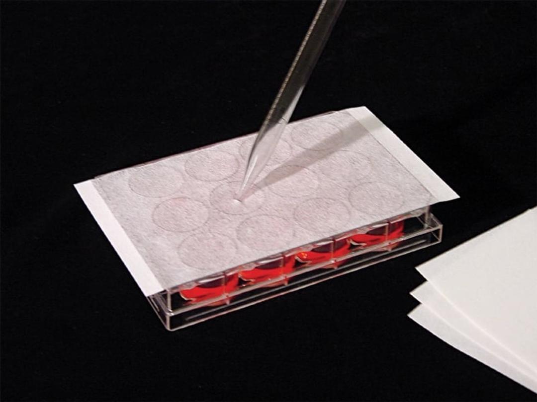 AeraSeal™ Microplate Sealing Film for Cell & Tissue Culture - Excel Scientific, Inc. - Life Sciences