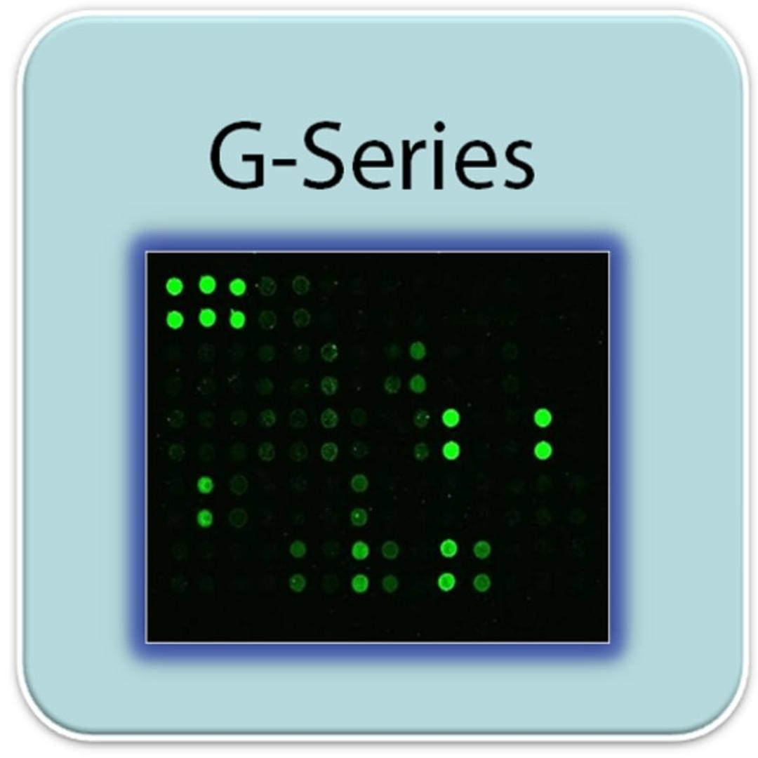 Human Protein S-Nitrosylation Array G1 - RayBiotech Inc. - Life Sciences
