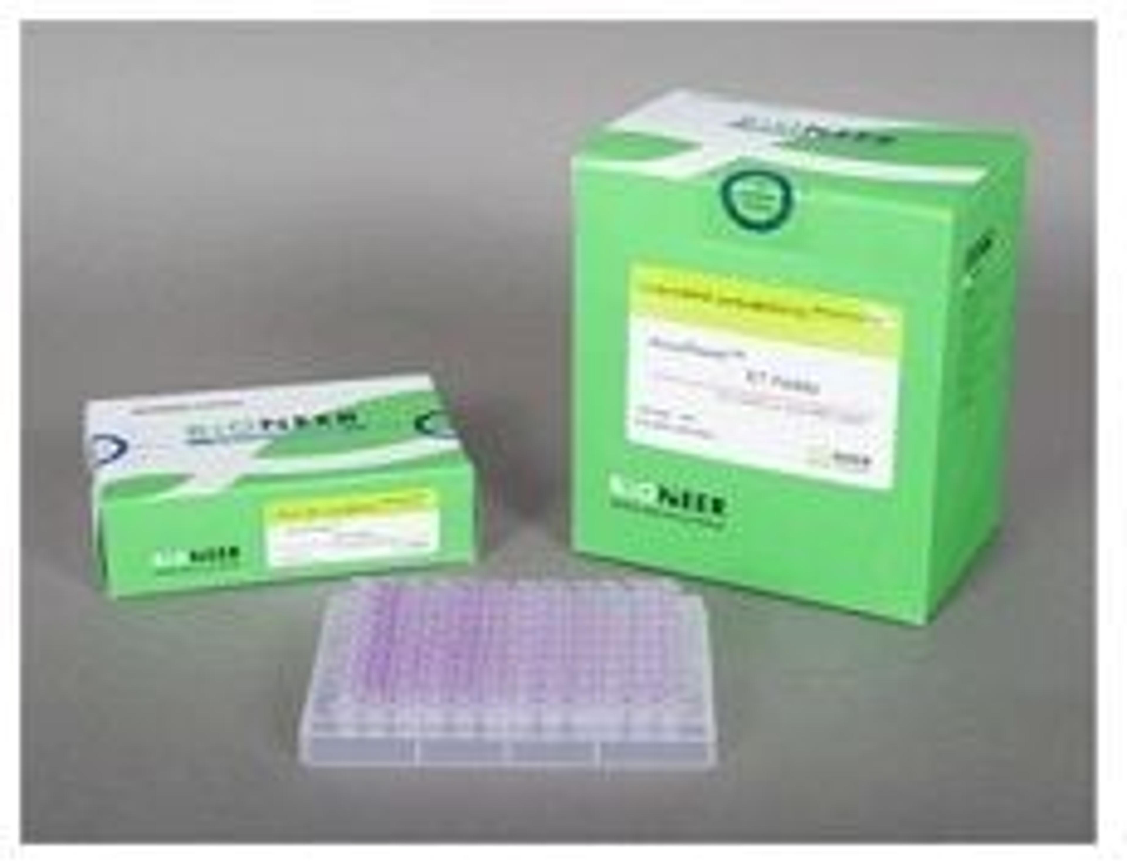 AccuPower® RT PreMix - Bioneer - Life Sciences