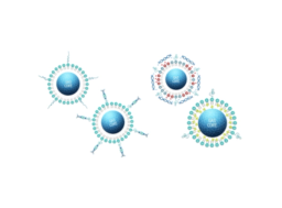 USphere Series - Scintica - Life Sciences