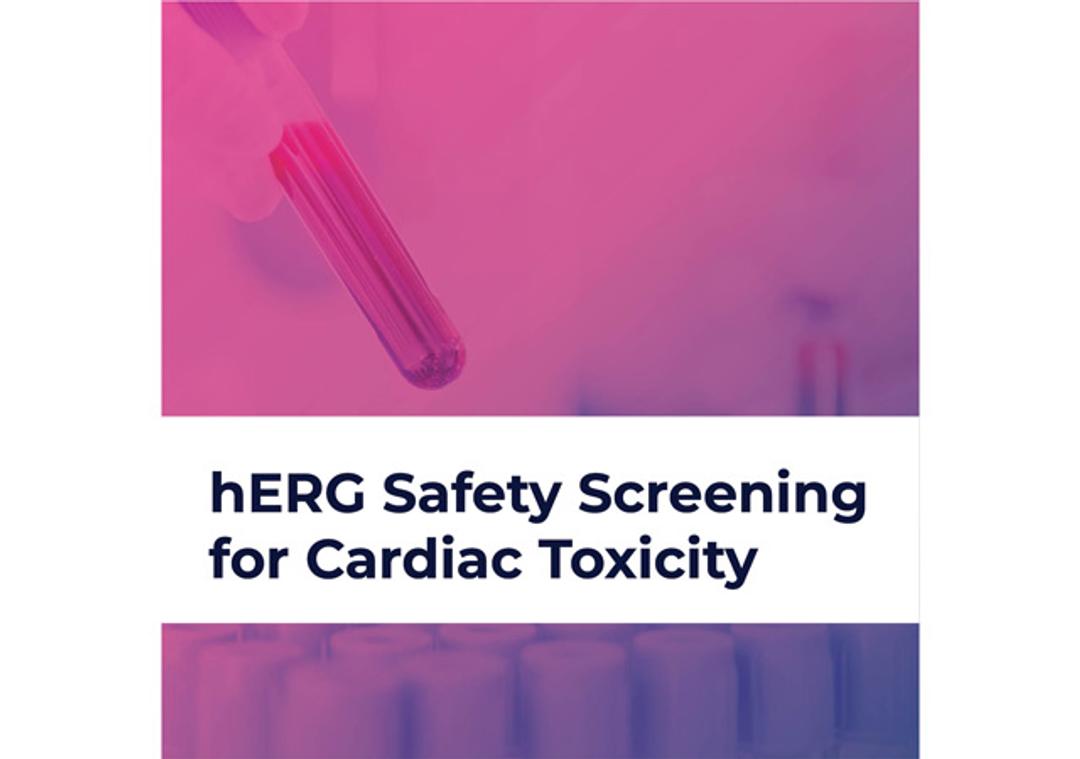 hERG Safety Screening for Cardiac Toxicity