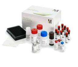 MILLIPLEX® MAP Human High Sensitivity T Cell Panel - Immunology Multiplex Assay - Merck - Life Sciences