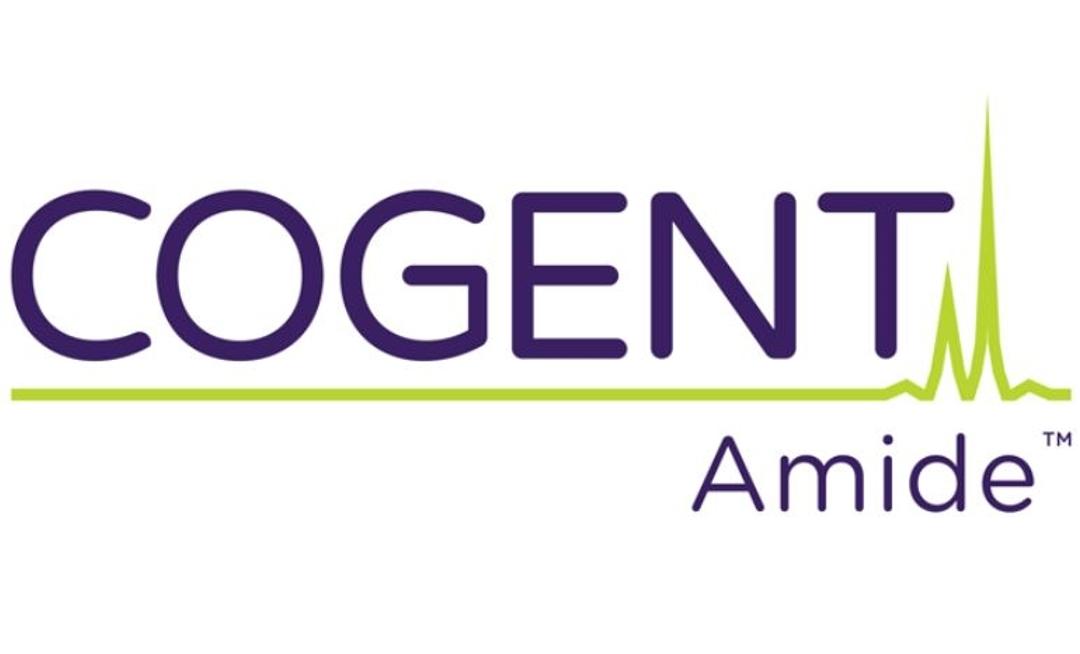 Cogent Amide Hydride™ - MicroSolv Technology Corp. - Separations