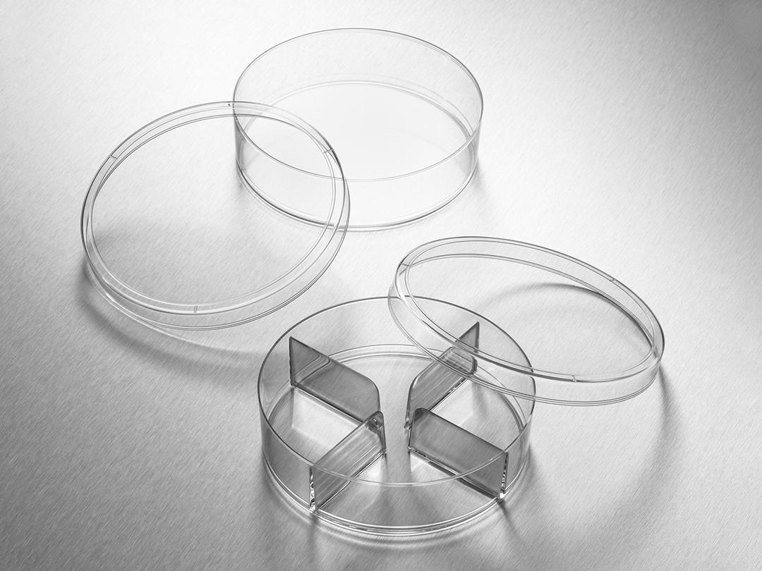 Corning® Gosselin™ Petri Dish 100 x 25 mm, 3 Vents, Sterile, 10/Bag, 500/Case - Corning Life Sciences - General Lab