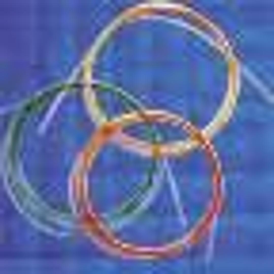 Dual Layer PEEK tubing - VICI AG International - Separations