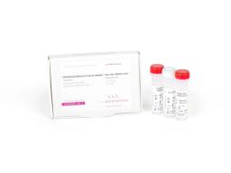 UltraScript® Reverse Transcriptase - PCR Biosystems - Life Sciences