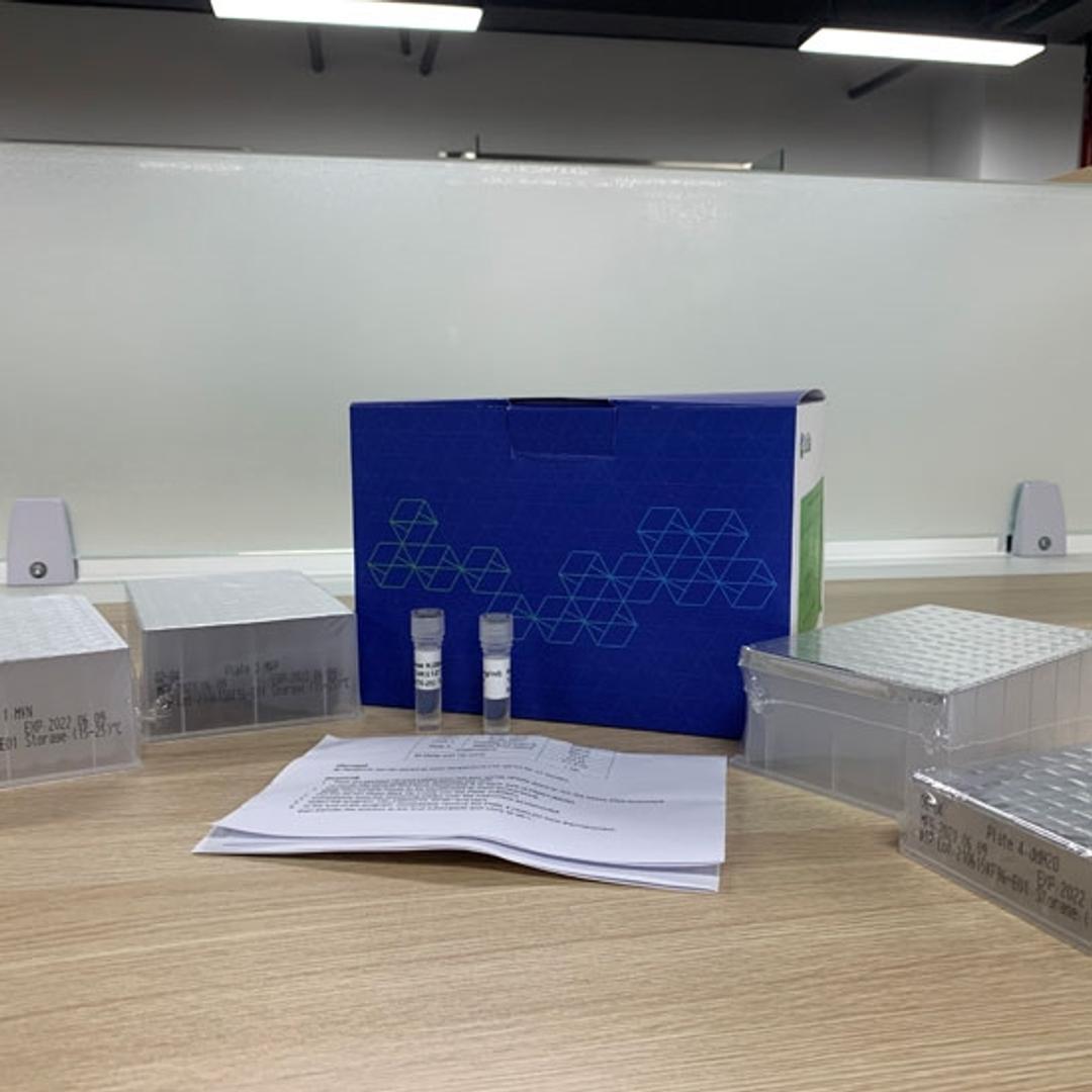 Virus DNA/RNA Kit - MEGAROBO Technologies - Life Sciences