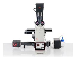 Inverted Microscope Solution DMi8 S Platform
