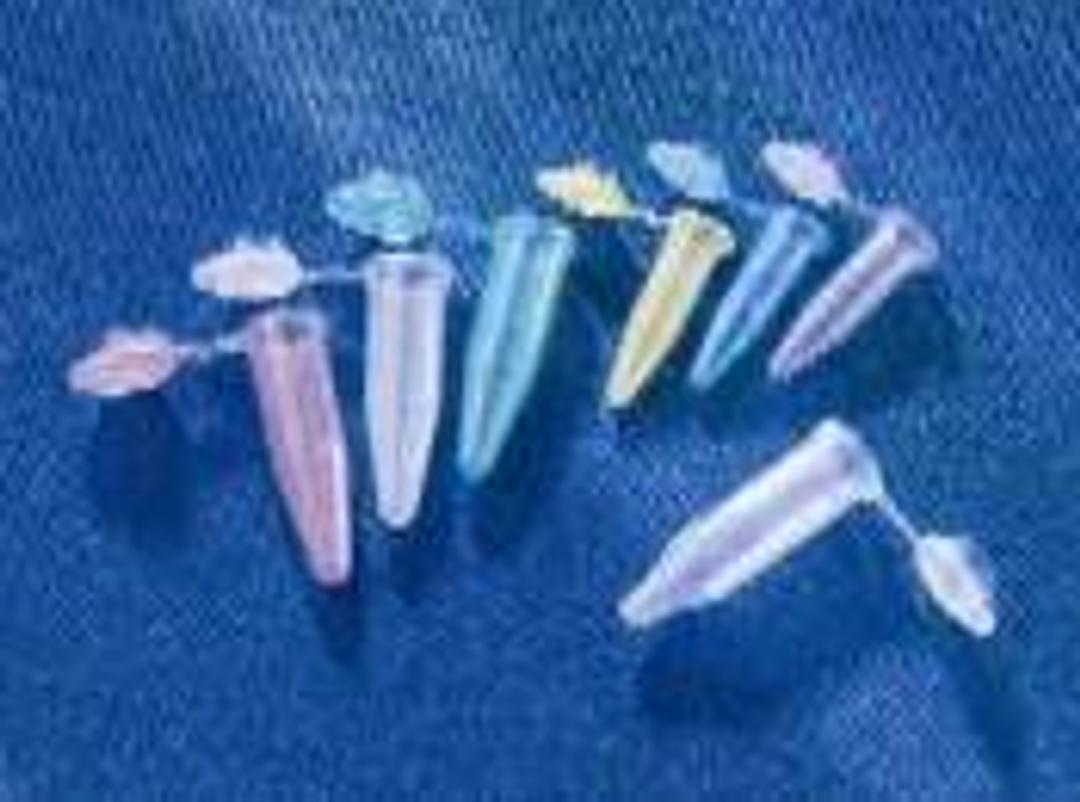 Costar® 1.7 mL Snap Cap Microcentrifuge Tube, Polypropylene, Rainbow Colors, Nonsterile, 500/Case - Corning Life Sciences - General Lab