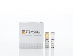 EasySep™ Human CD138 Positive Selection Kit II - STEMCELL Technologies Inc. - Life Sciences