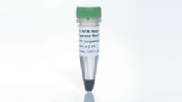 Ni-NTA Magnetic Agarose Beads (6 x 1 ml) - QIAGEN