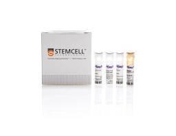 EasySep™ Mouse Biotin Positive Selection Kit II - STEMCELL Technologies Inc. - Life Sciences
