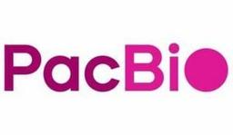 PacBio