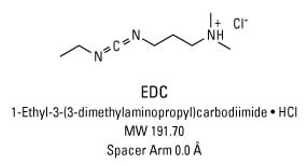 Thermo Scientific™ EDC (1-ethyl-3-(3-dimethylaminopropyl)carbodiimide hydrochloride) - Thermo Fisher Scientific - Life Sciences