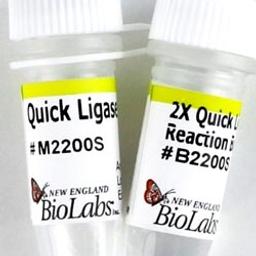 Quick Ligation™ Kit - New England Biolabs Inc. - Life Sciences