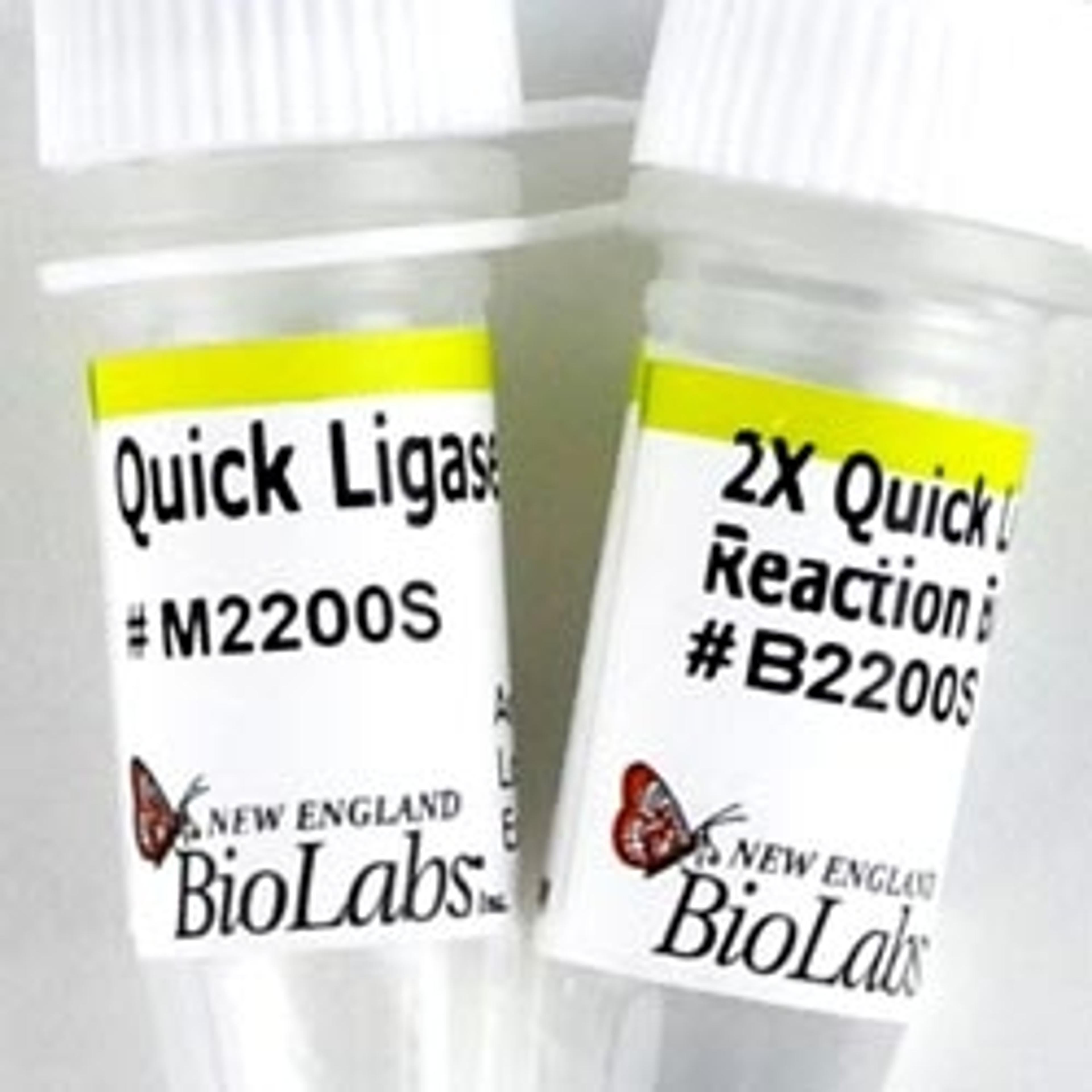 Quick Ligation™ Kit - New England Biolabs Inc. - Life Sciences