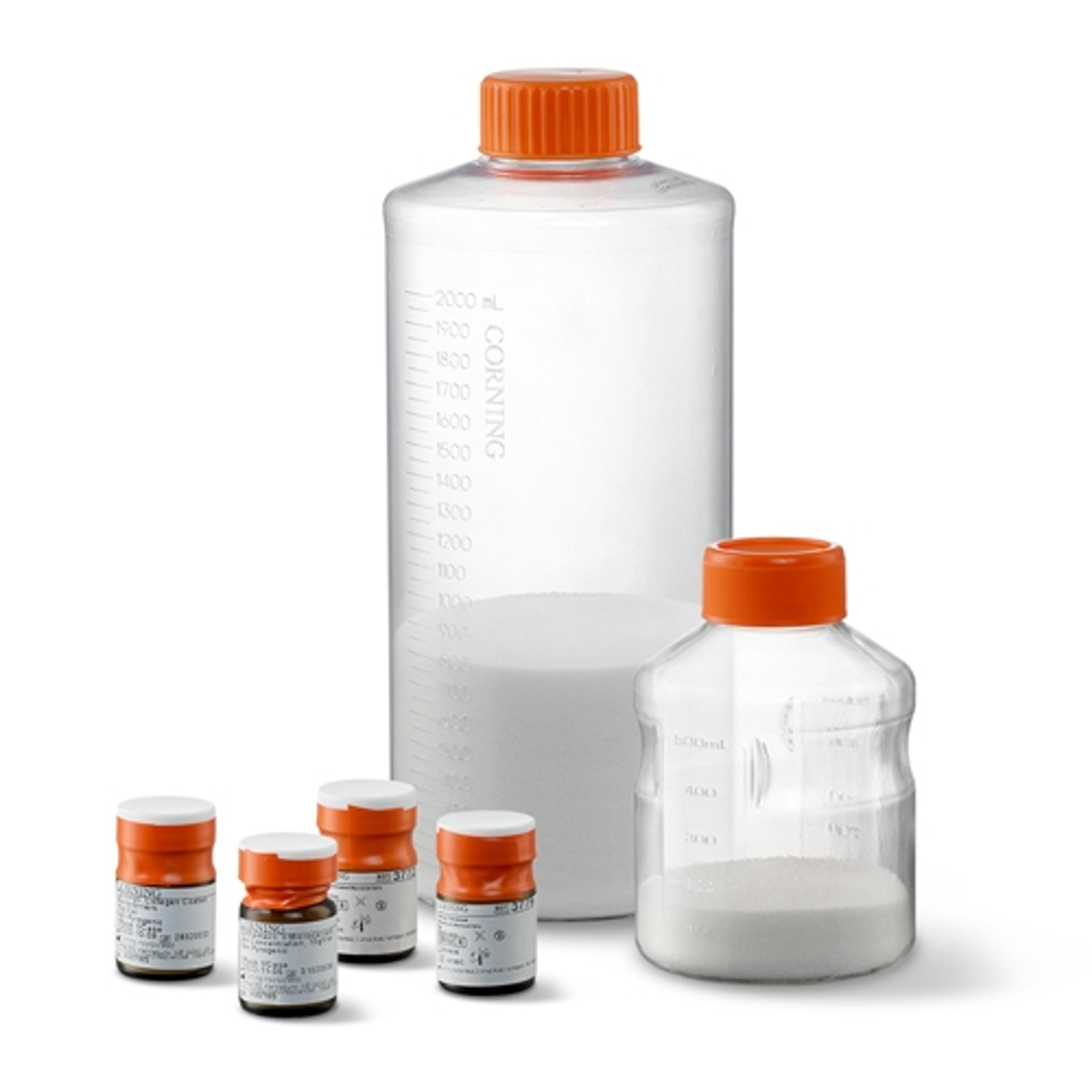 Corning® Low Concentration Synthemax™ II Microcarriers, 10g Vial - Corning Life Sciences - Life Sciences