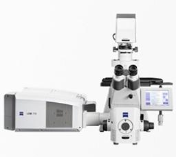 ZEISS LSM 710 for Fluorescence Imaging - ZEISS Research Microscopy Solutions - Spectroscopy