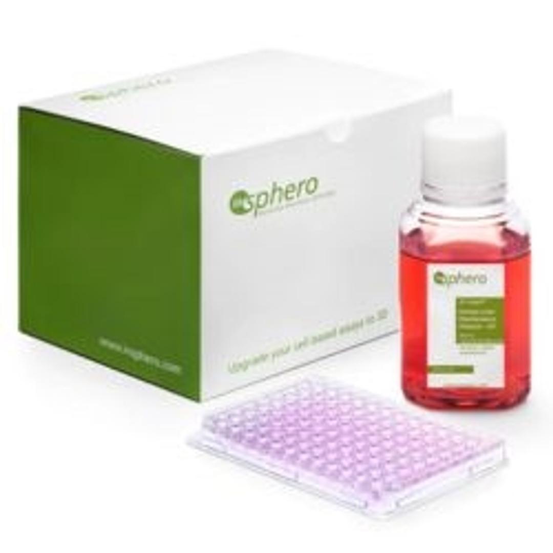 3D InSight™ Human Liver Microtissues - InSphero