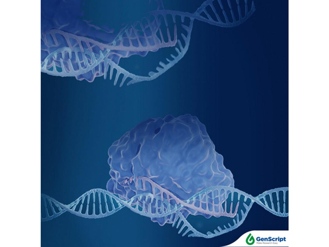 Cas12a(cpf1) crRNA - GenScript - Life Sciences