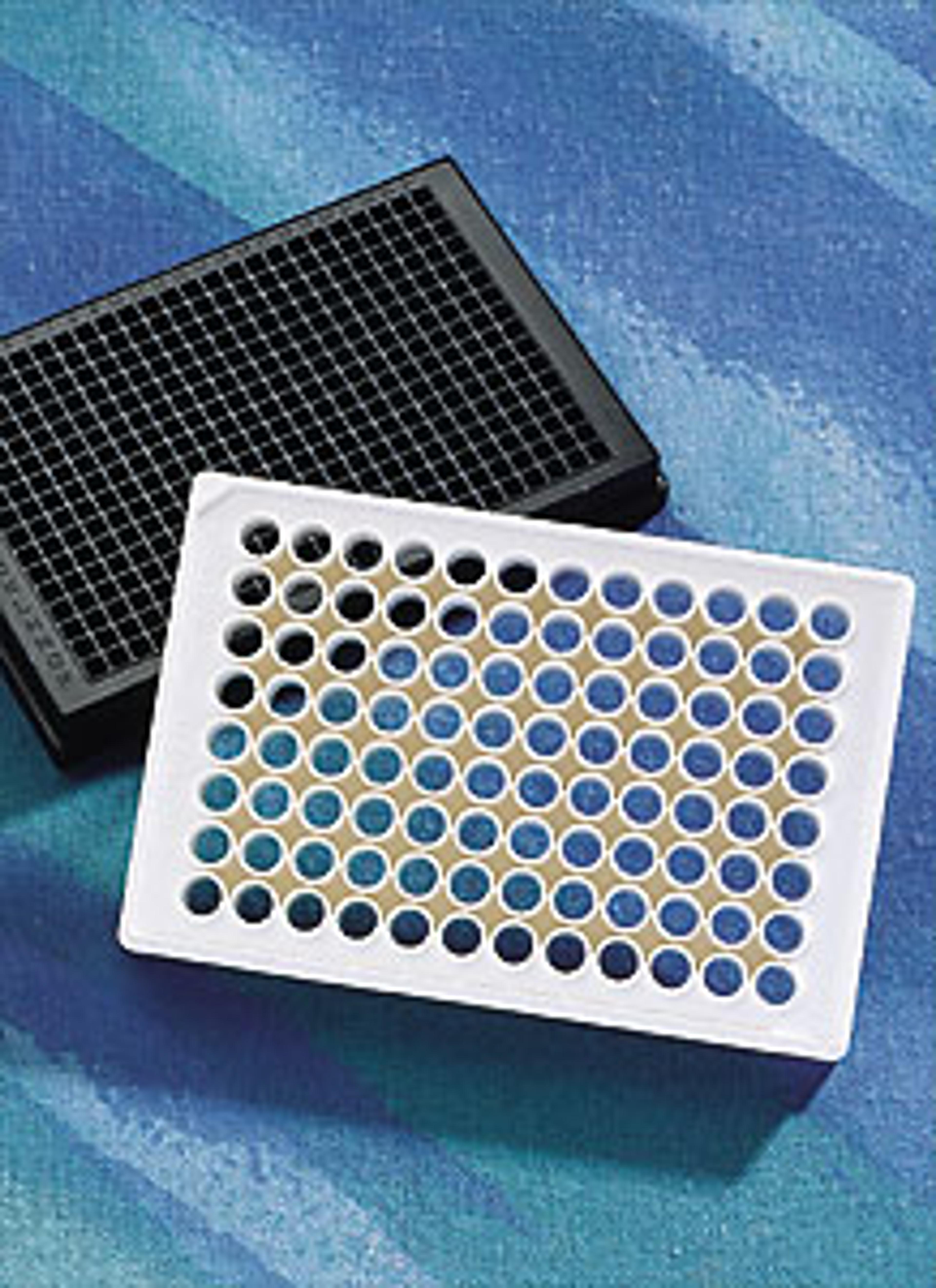 Corning® 384-well Clear Flat Bottom Polystyrene Poly-D-Lysine Coated Microplates, 20 per Bag, with Lid, Aseptically Manufactured - Corning Life Sciences - Life Sciences