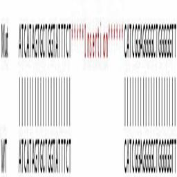 Human PAK1 knockout HeLa cell line - Abcam plc - Life Sciences