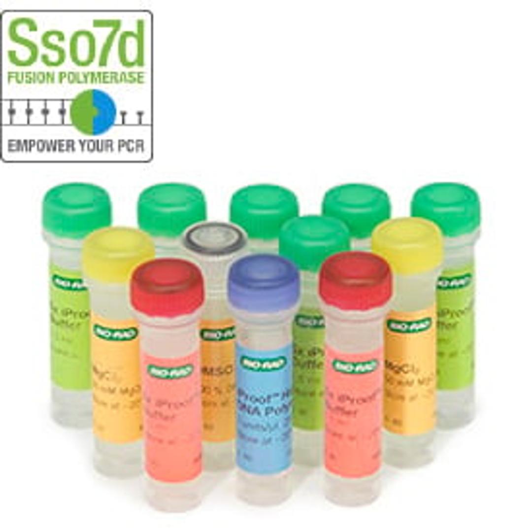 iProof™ High-Fidelity DNA Polymerase, 500 U (2 U/µl), 250 µl - Bio-Rad - Life Sciences