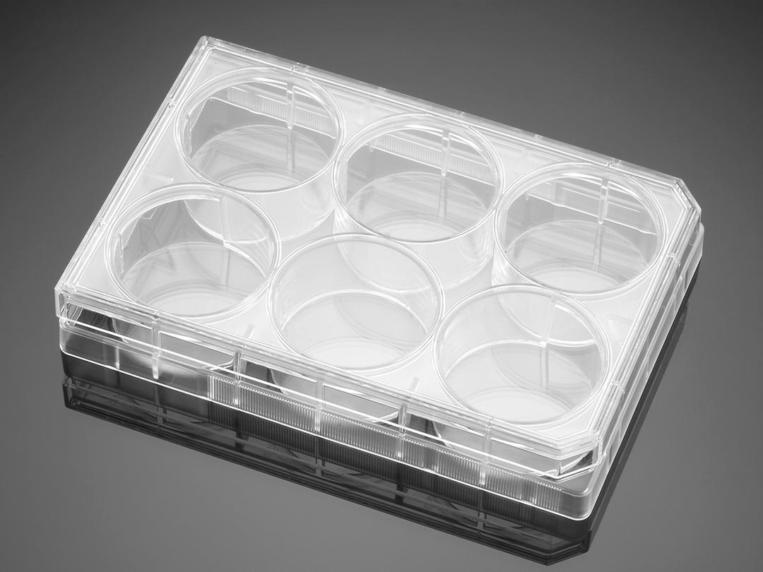 Falcon® 6-well Clear Flat Bottom TC-treated Multiwell Cell Culture Plate, with Lid, Individually Wrapped, Sterile, 50/Case - Corning Life Sciences - Life Sciences