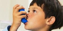 SprayVIEW® Spray Pattern & Plume Geometry Measurement Instrumentation - Proveris Scientific - Drug discovery > Pre-Clinical Development